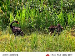 -昆山城市生态森林公园