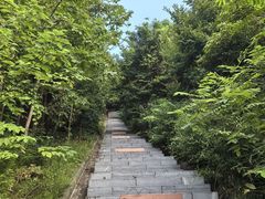 -冶父山国家森林公园