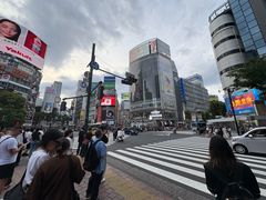 -涩谷全向十字路口