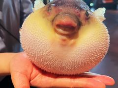 -肆月河豚·淮扬菜·湘菜(华天店)