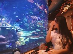 -迪拜帆船酒店海底餐厅