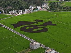 -万峰林风景区