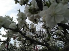 -玲珑塔公园