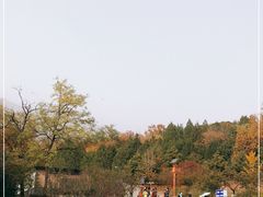 -北京鹫峰国家森林公园