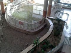 android_upload_pic-新华百货CC Park购物广场