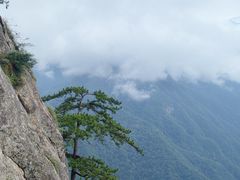 -陕西省红河谷森林公园