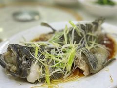 -凤城礼记鱼翅海鲜酒家(新马路总店)