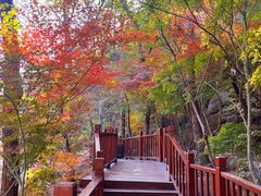 -崂山九水游览区