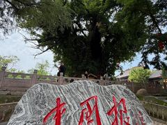 -大槐树寻根祭祖园