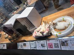 -狗道宠物(常熟印象城店)