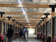 -北京群众马术培训基地