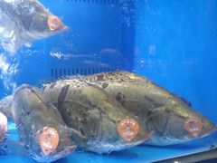 -盒马鲜生(曜一城店)