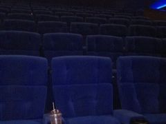 -奥斯卡升龙国际影城(RealD Cinema)