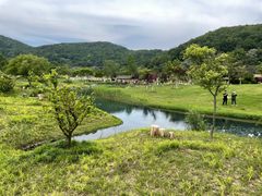 -南北湖风景区