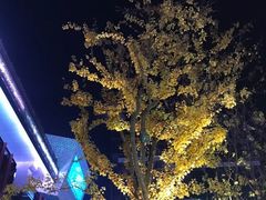 -享月汤皇·海鲜小火锅·聚会(曲江创意谷店)