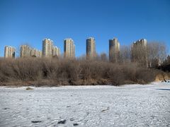 -丁香湖公园