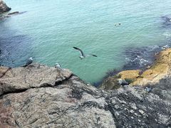 -摩天岭风景区
