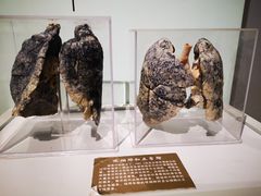 -陕西自然博物馆