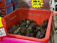 -老财炒饭·熟地蟹·冬瓜蟹