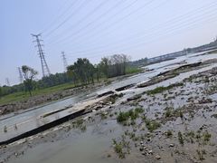 -永定河休闲森林公园