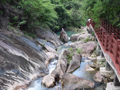 -广州白江湖森林公园