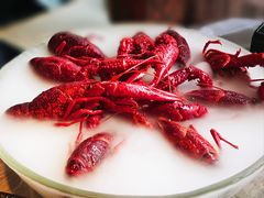 -红盔甲·小龙虾(车公庙店)