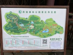 -西双版纳原始森林公园