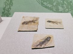 -常州博物馆