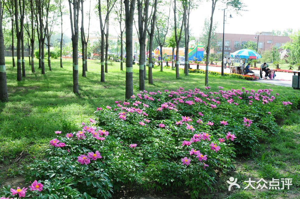 北京朝來森林公園