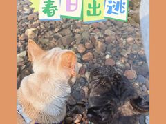 -白河湾生态旅游一条川