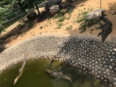 -石家庄市动物园