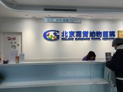 -北京观赏动物医院·24小时大型综合·猫专科·异宠专科