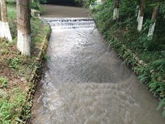 -桤木河湿地公园