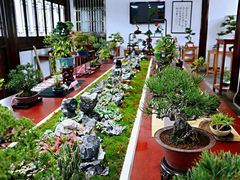 -荆川公园