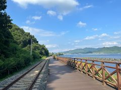 -河口景区