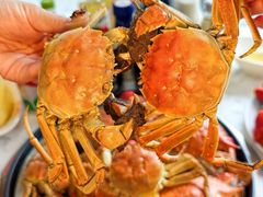 -半岛听涛蒸汽海鲜自助(K11店)
