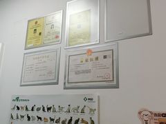 -宠福鑫康馨动物医院·骨科·眼科