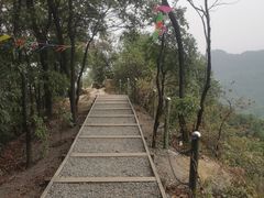 -南山植物园