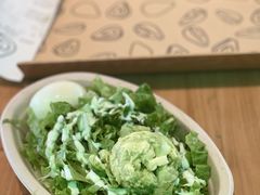 -油梨树AVOCADO TREE(望京店)