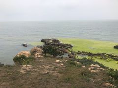 -颐和海鲜饺子