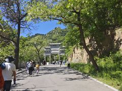 -沂蒙山旅游区云蒙景区(蒙山国家森林公园)