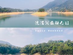 -广州市流溪河国家森林公园
