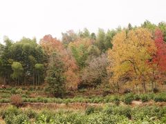 -塔川景区
