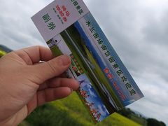 -御道口草原森林风景区