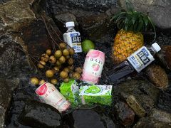-志闽龙门漂流