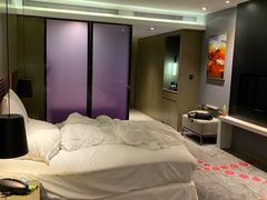 -南京禄口机场雅高铂尔曼大酒店