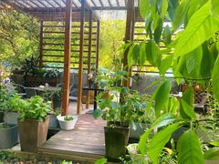 -谷咖啡·鲜花绿植花园餐厅