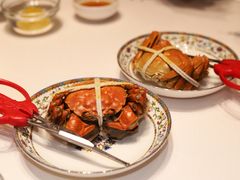 -新光酒家·河豚·海鲜·蟹料理(浦东店)