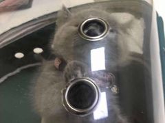 -惠康宠物医院(华能路店)