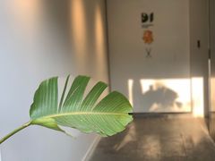 -周三的情书花园餐厅(江北店)